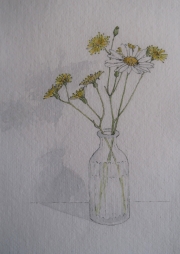 Wildflowers-in-old-bottle-pen-and-watercolour